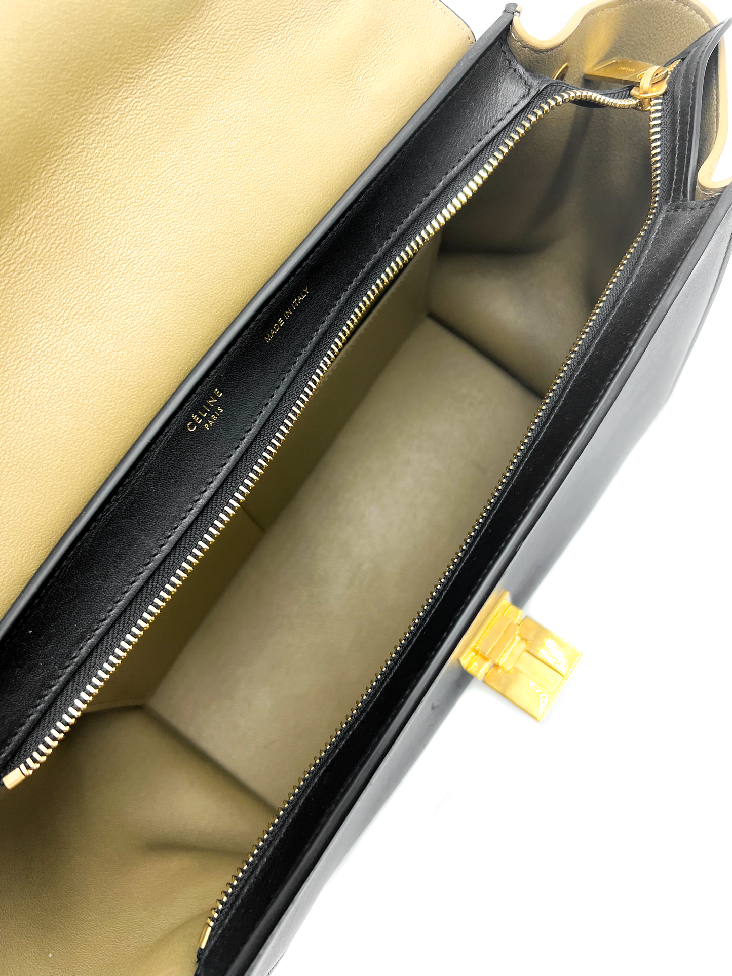Celine Python Trapeze Bag Medium