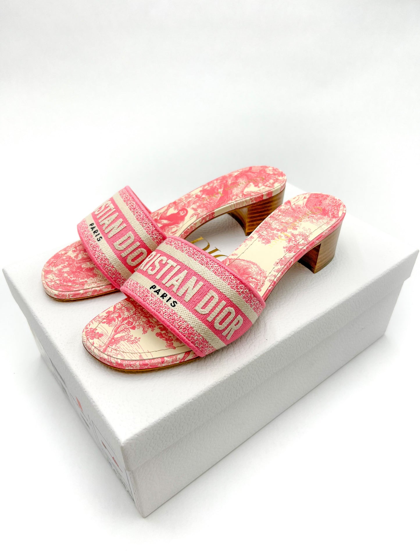 Dior Dway Heeled Slides