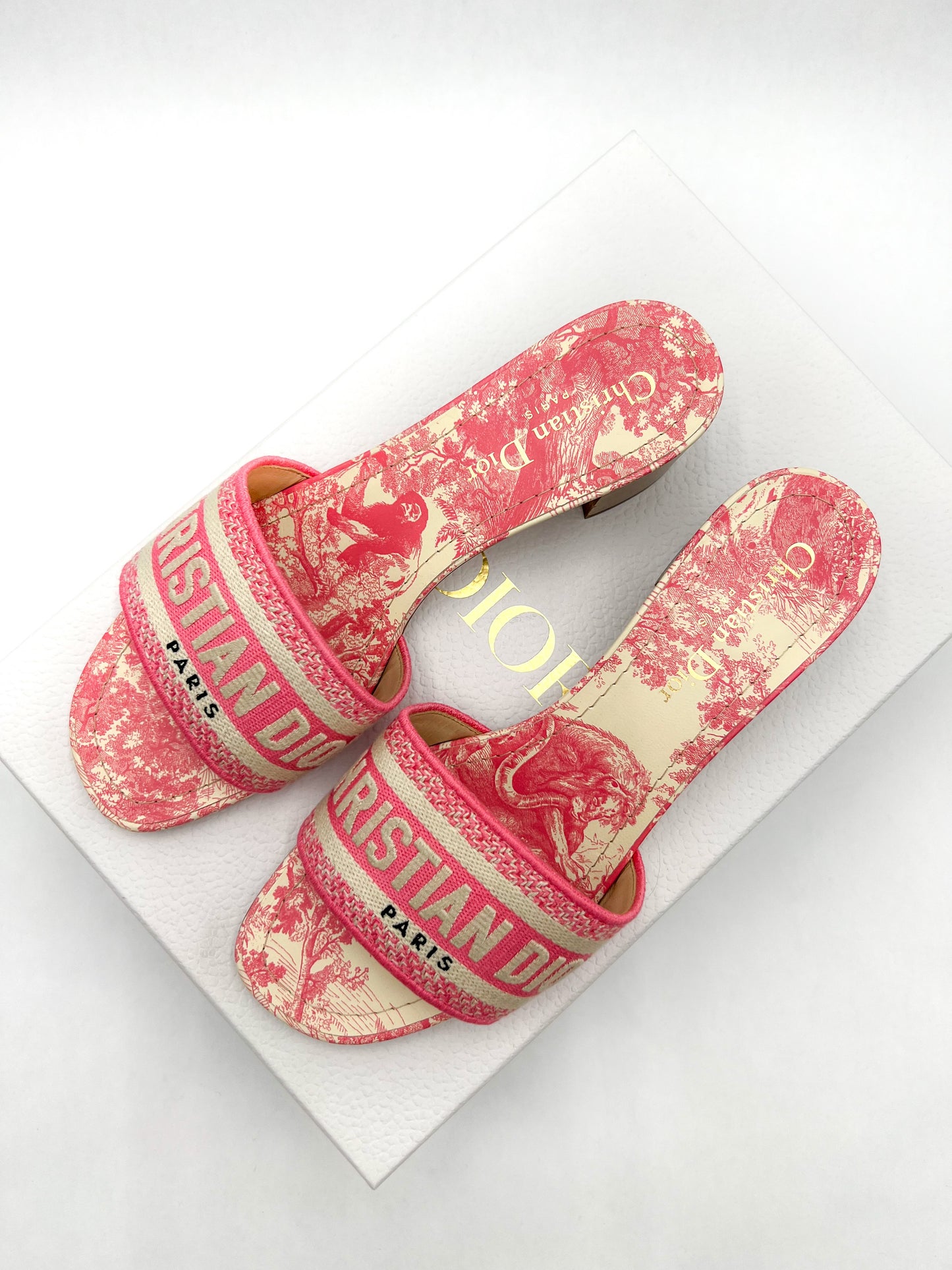 Dior Dway Heeled Slides