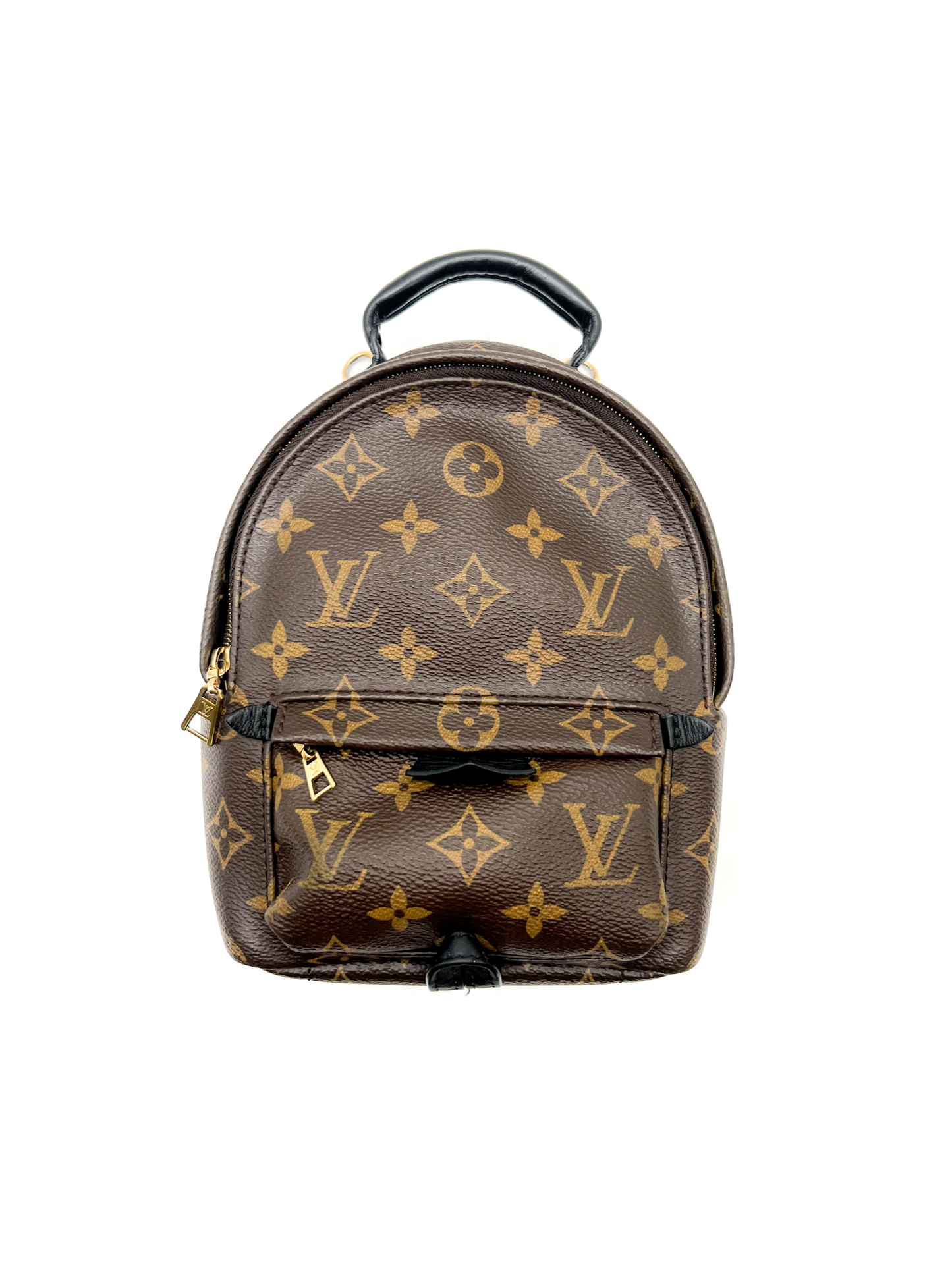 Louis Vuitton Palm Springs Mini Backpack
