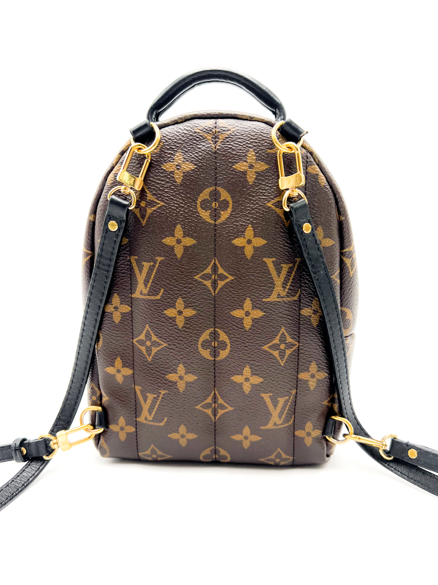 Louis Vuitton Palm Springs Mini Backpack