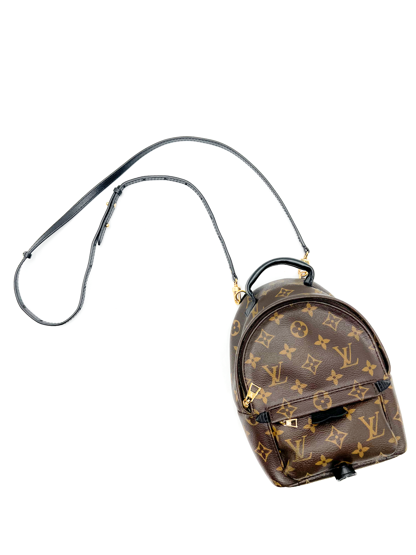 Louis Vuitton Palm Springs Mini Backpack