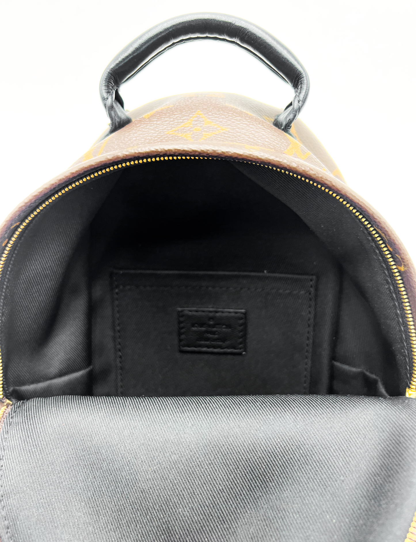 Louis Vuitton Palm Springs Mini Backpack
