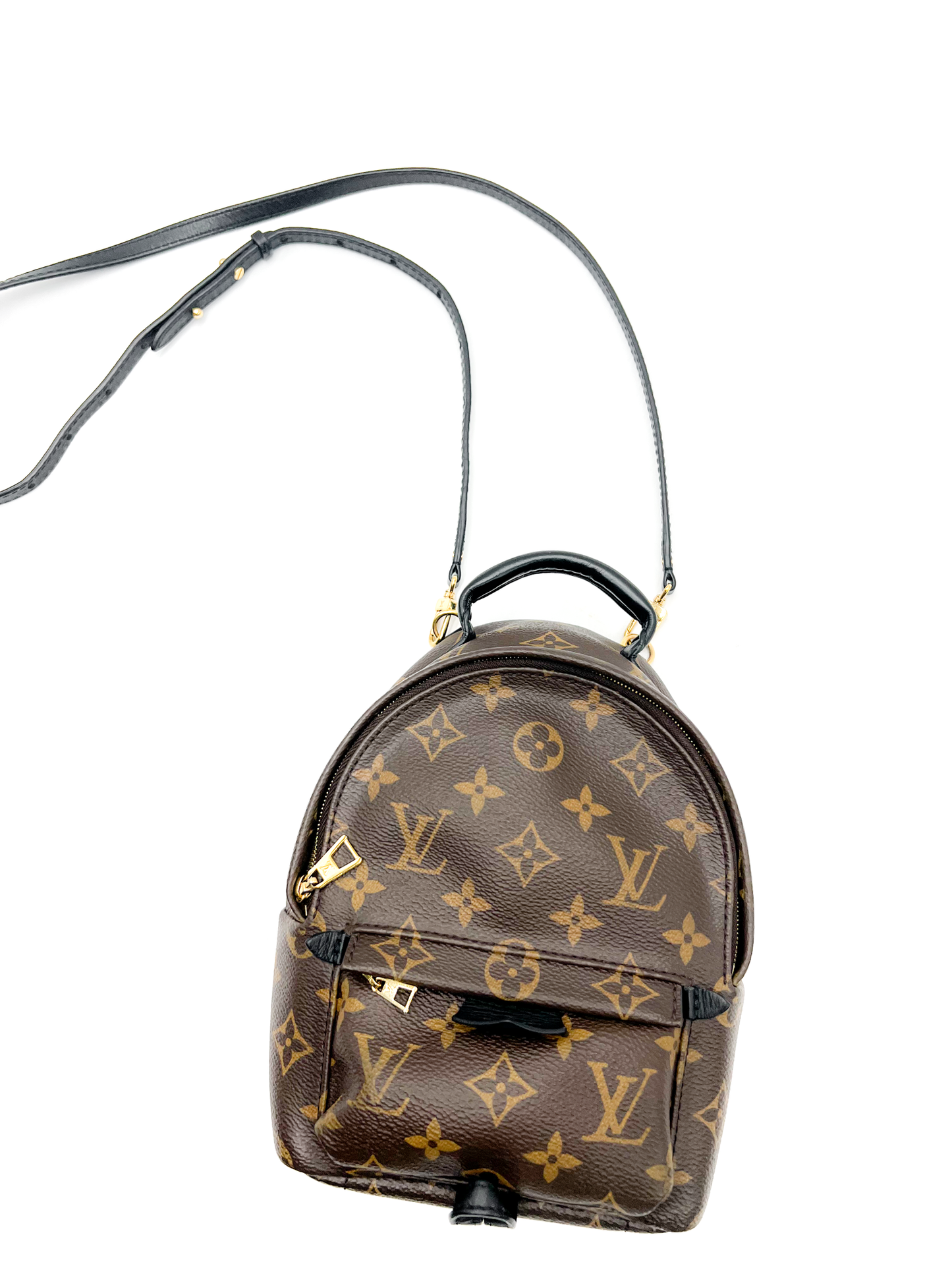 Louis Vuitton Palm Springs Mini Backpack