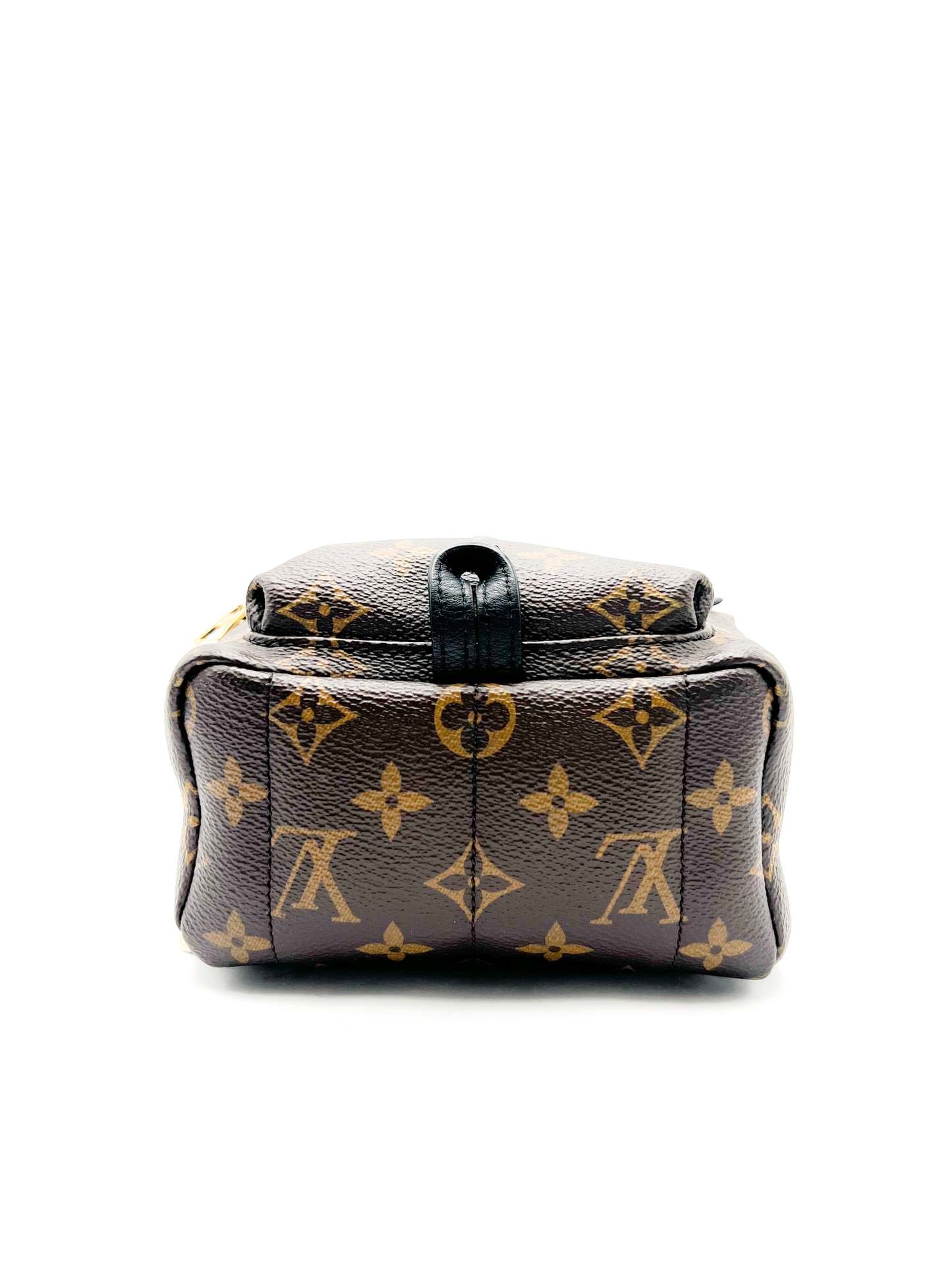 Louis Vuitton Palm Springs Mini Backpack