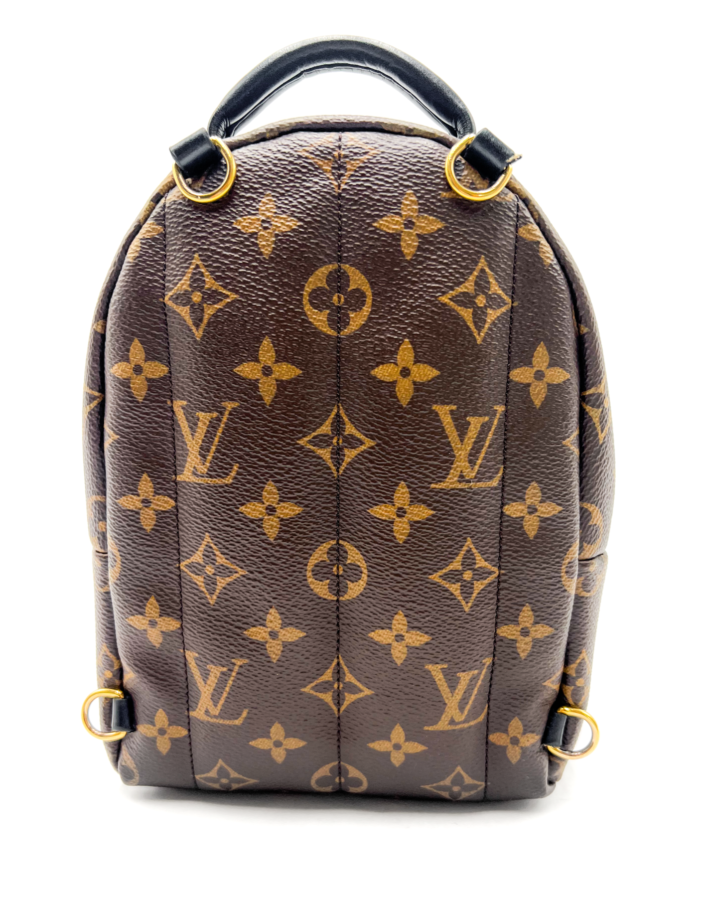Louis Vuitton Palm Springs Mini Backpack