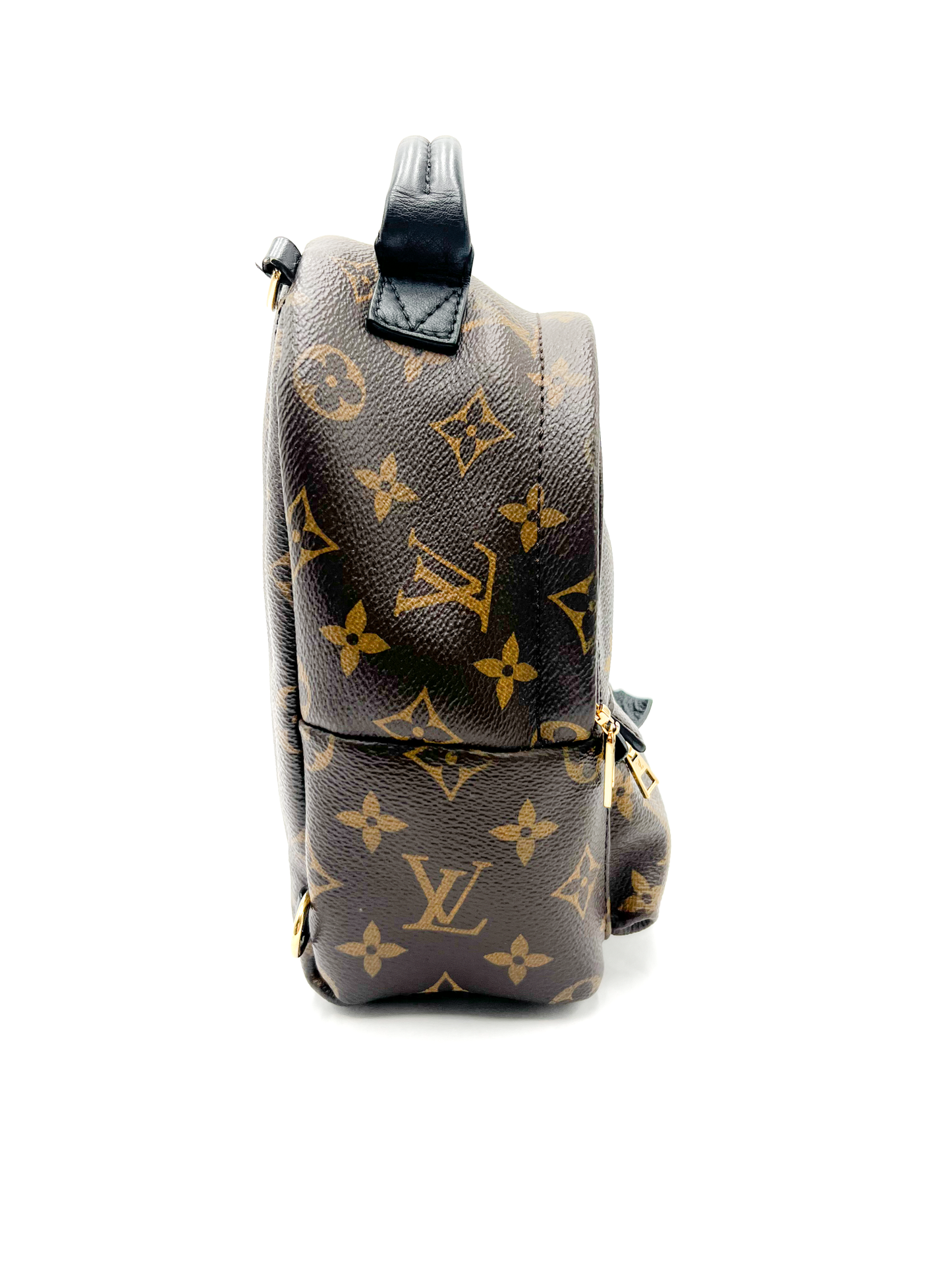 Louis Vuitton Palm Springs Mini Backpack