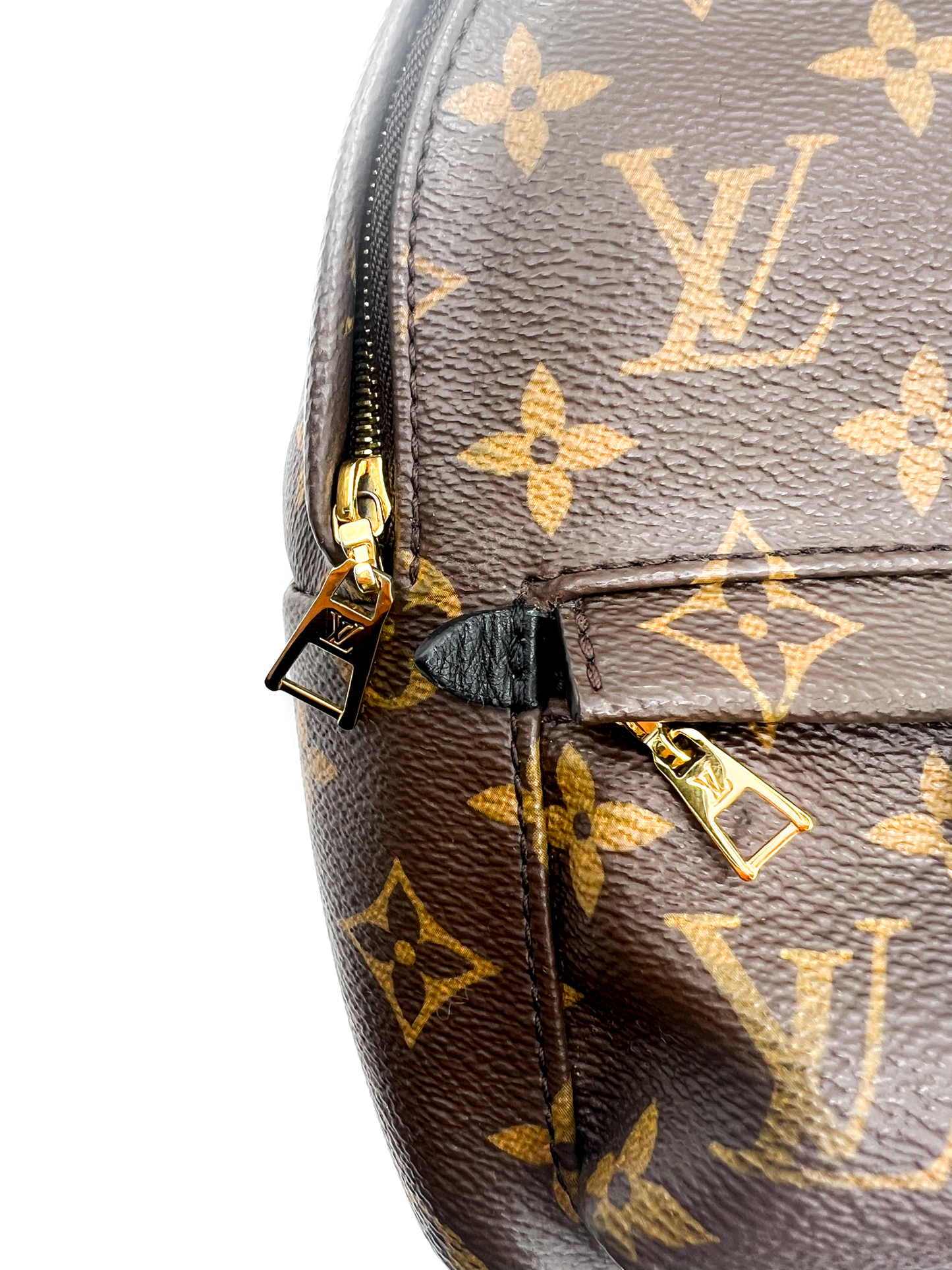 Louis Vuitton Palm Springs Mini Backpack