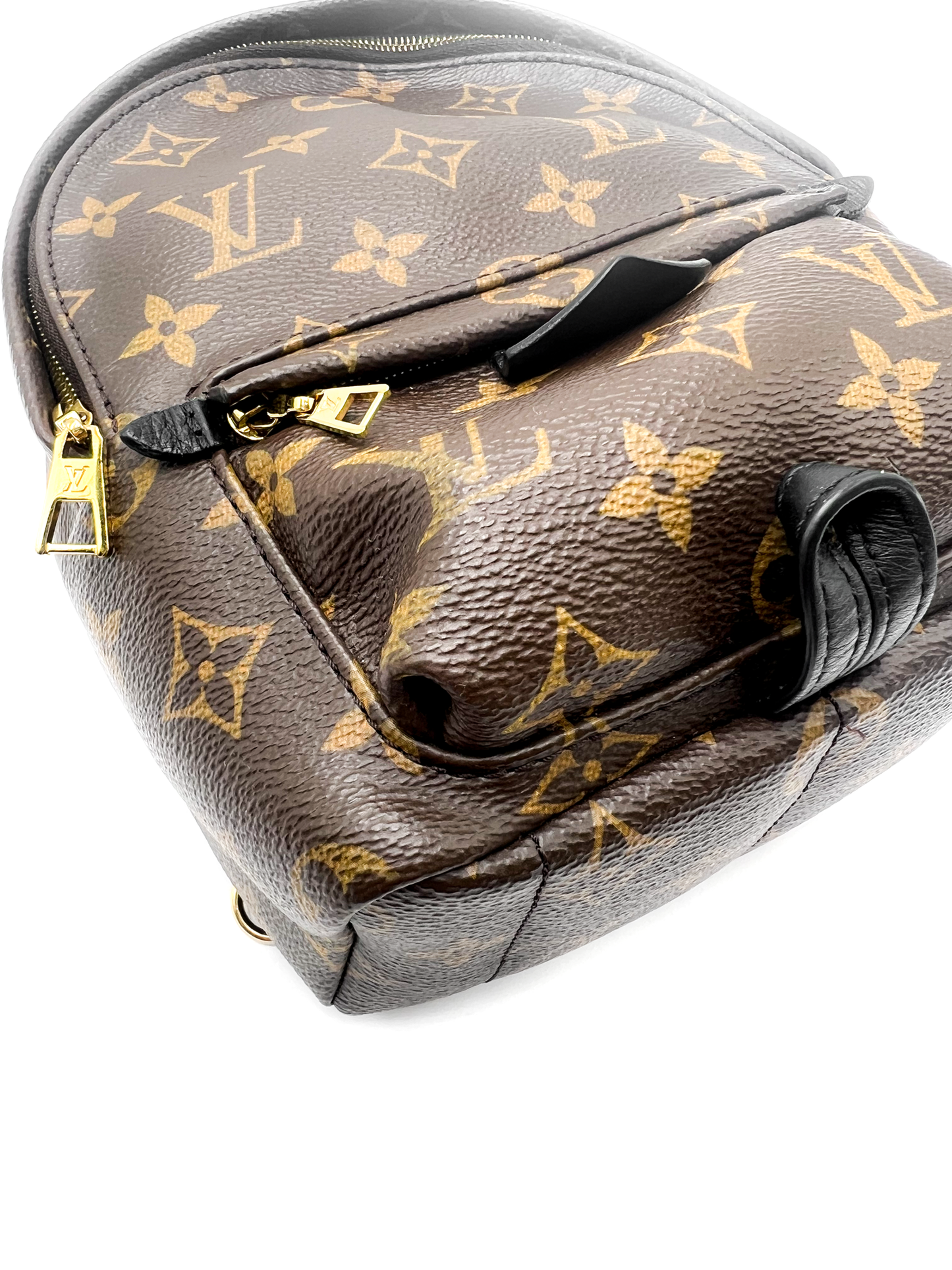 Louis Vuitton Palm Springs Mini Backpack