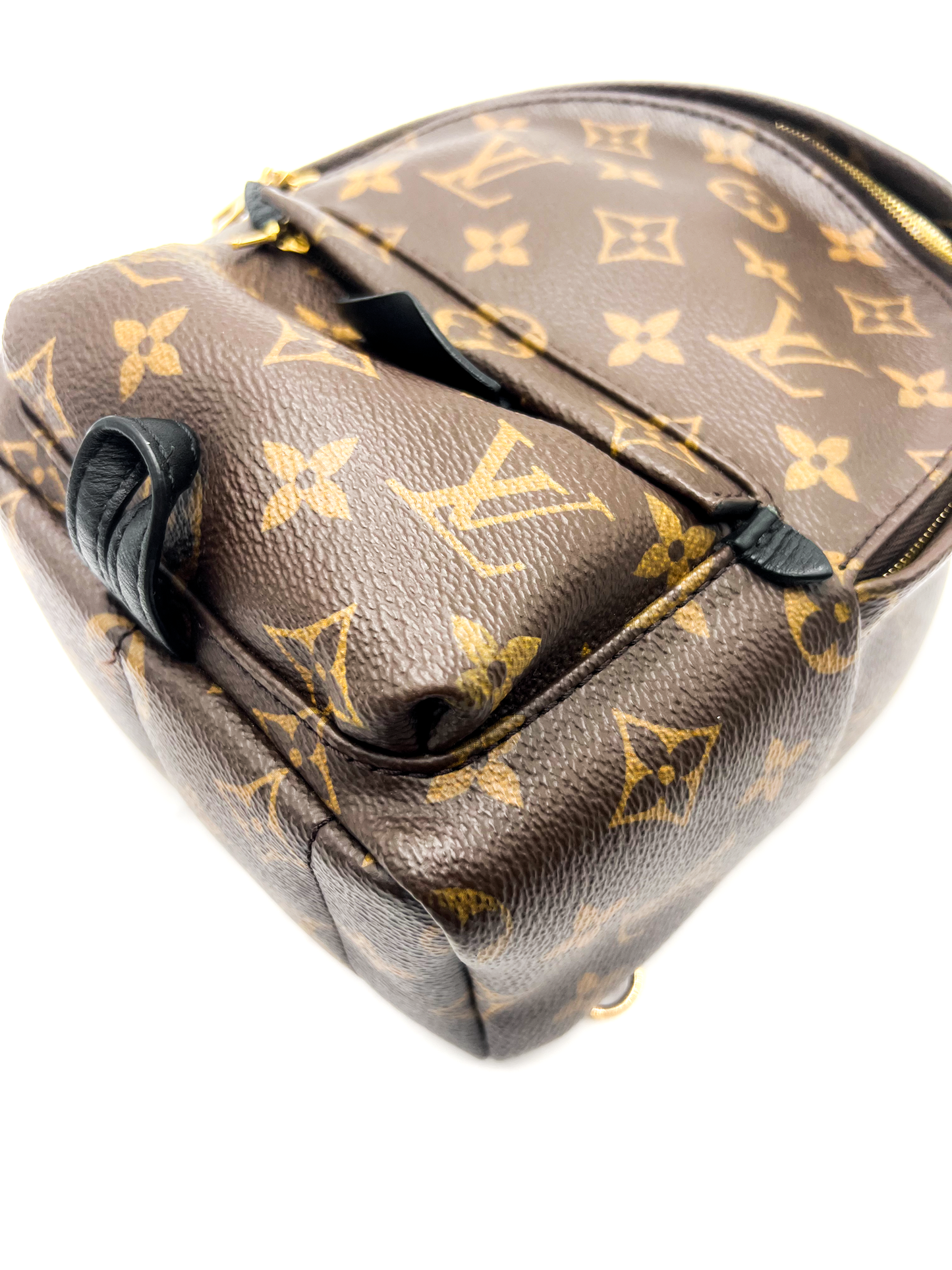 Louis Vuitton Palm Springs Mini Backpack