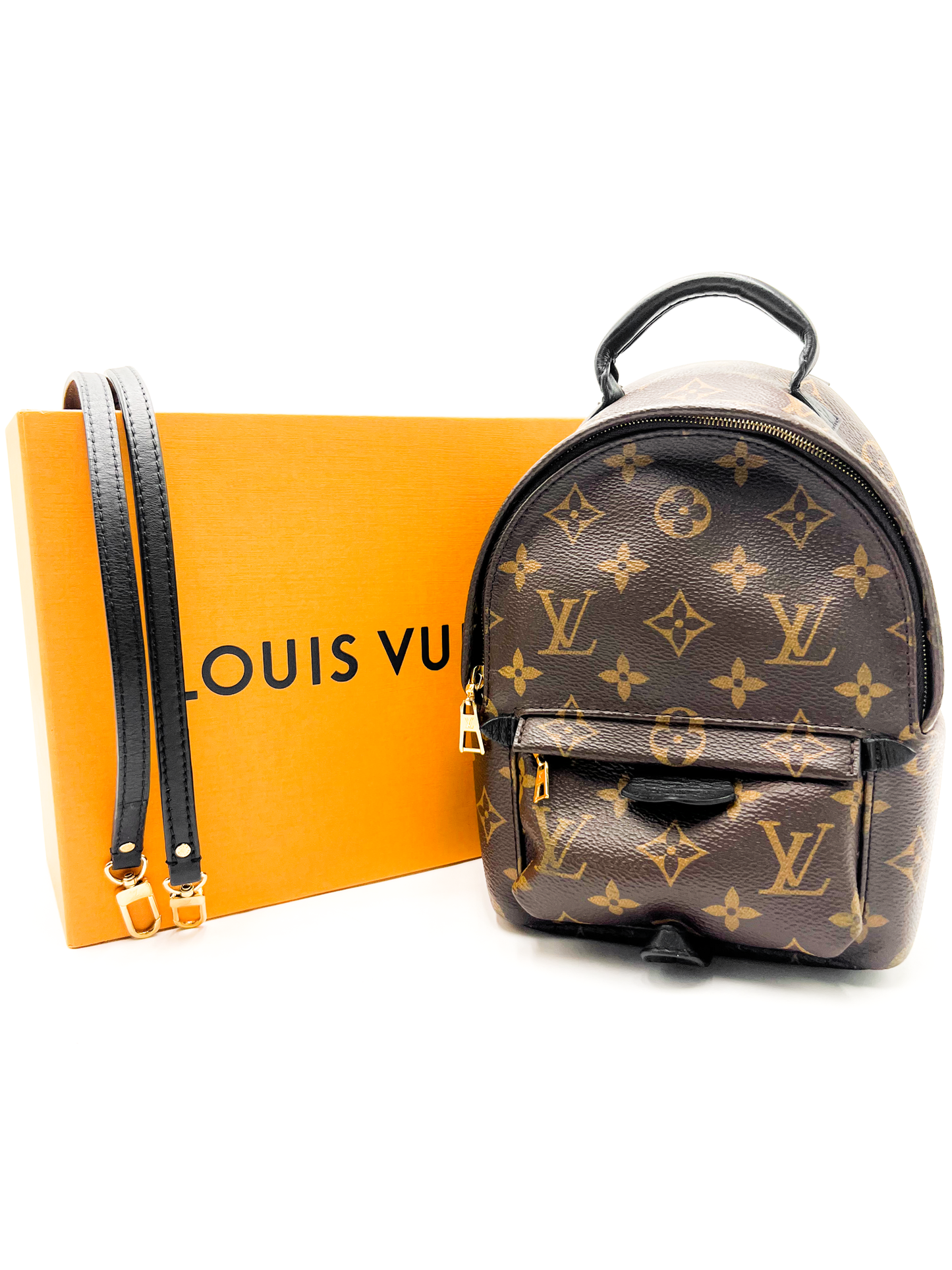 Louis Vuitton Palm Springs Mini Backpack