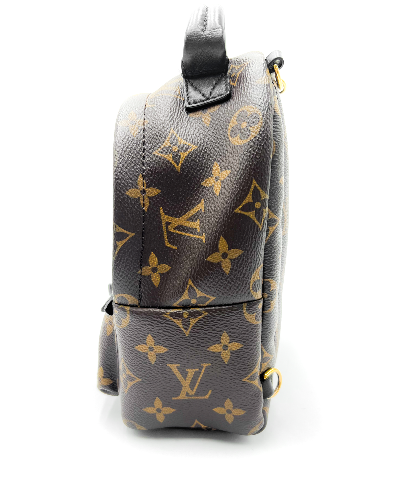 Louis Vuitton Palm Springs Mini Backpack